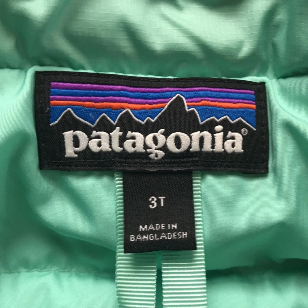 Patagonia Puffer Jacket (size 3T)